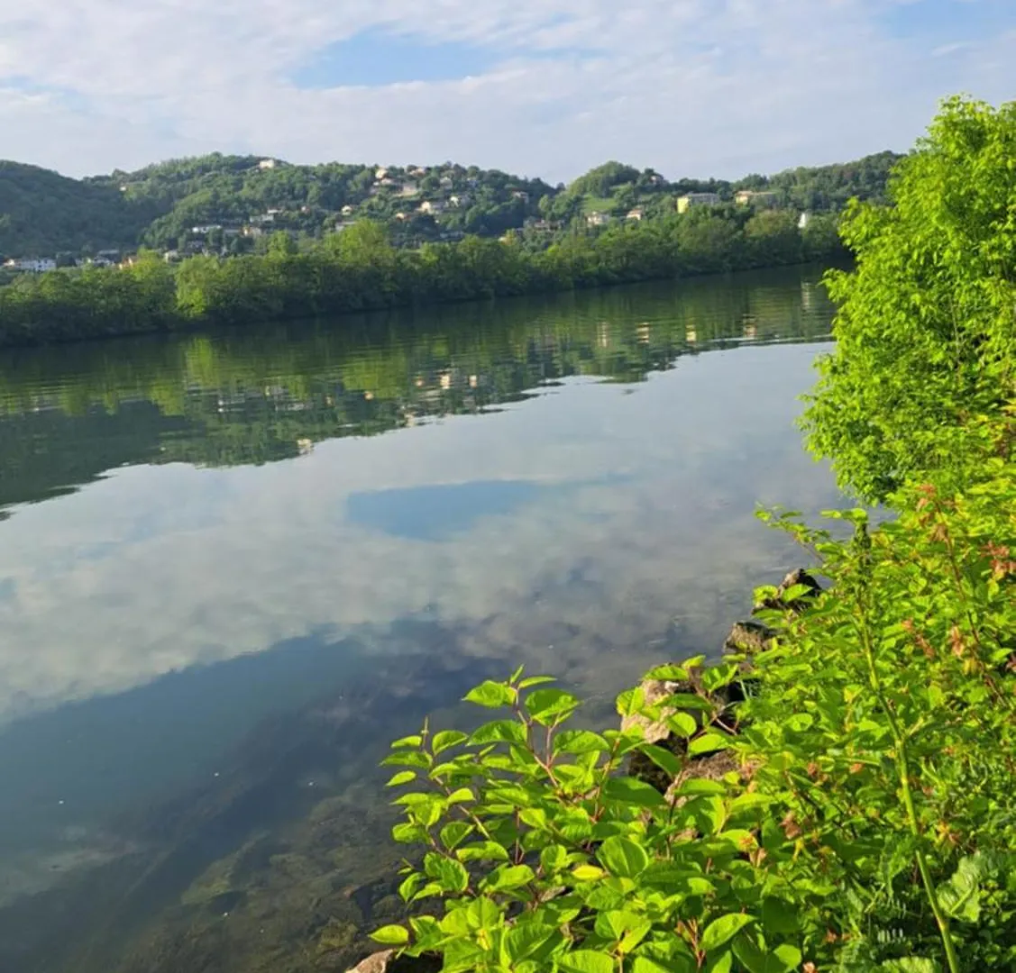 Camping A Condrieu, Mobil Home 6 Pers Sur Les Bords Du Rhone, Avec Parc Aquatique Condrieu